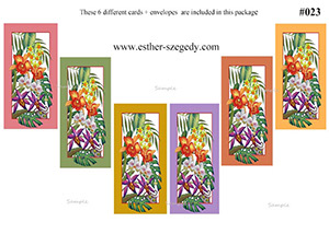 %_tempFileName6%20pack%20%23023%