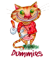 dummies icon